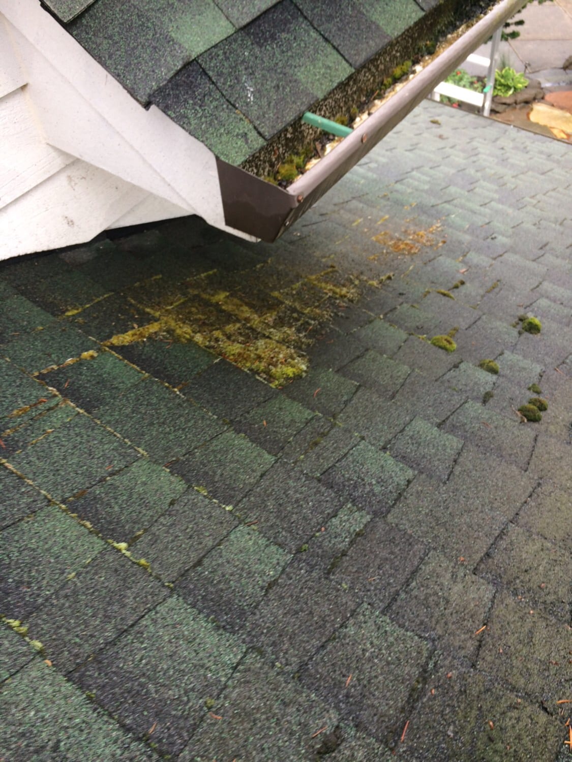 How to (properly) remove roof moss Northbank Home Inspection blog